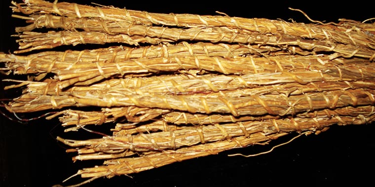 Gongolili corsé