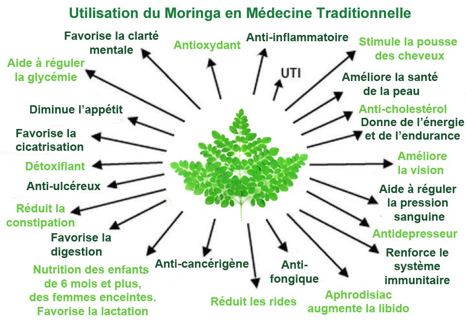 Poudre de Moringa